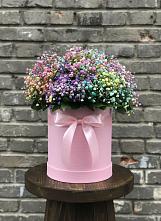 Цветочная композиция из Гипсофила и Розы в шляпной коробке #REPLACE_PRED# Солянке