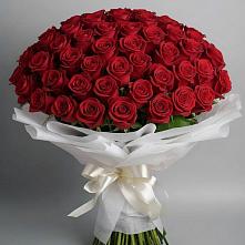 Букет 101 Красная роза Блэк Мэджик в Солянке