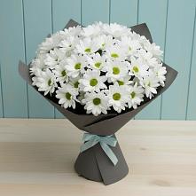 Букет цветов из:  Хризантемы #REPLACE_PRED# Солянке