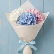 Букет цветов из:  Гортензия в Солянке