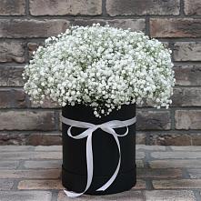 Цветочная композиция из Гипсофила в шляпной коробке в Солянке