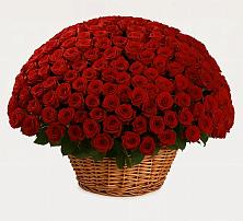 Премиум букет из: Розы в Солянке