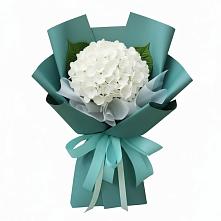Букет цветов из:  Гортензия #REPLACE_PRED# Солянке
